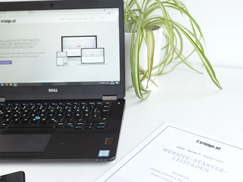 aufgeklappter Laptop, Pflanze: Grünlilie, Dokument Website-Starter Leitfaden